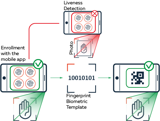 Graphic of process of digital self-onboarding citizens to provide personal data in a fast and secure way and receive their “Digital immunity passport”